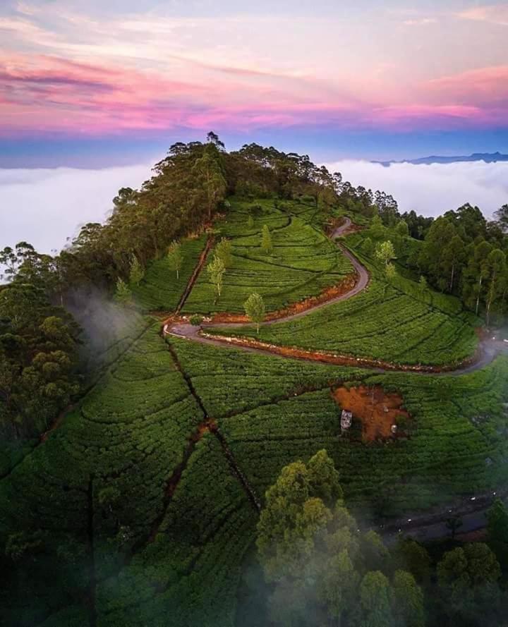 Tea Breeze 3* Nallathanniya